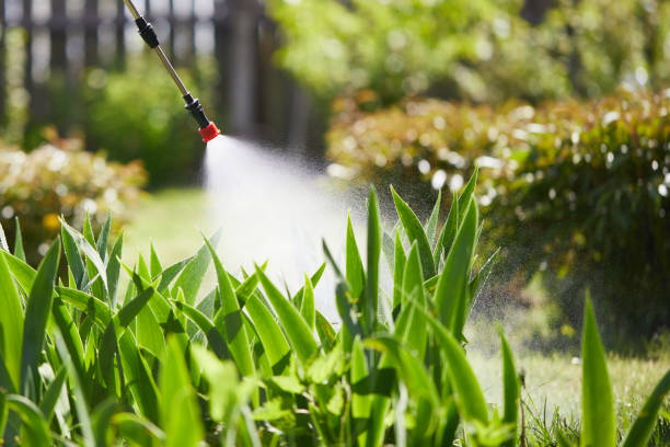 Tamper-Resistant Bait Stations for Rodents in Walnut Grove