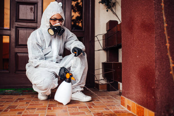 Attic and Crawl Space Rodent Treatment in Walnut Grove