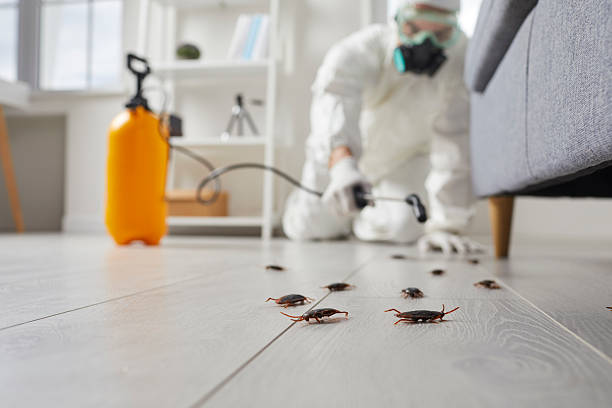 Commercial Rodent Management in Walnut Grove